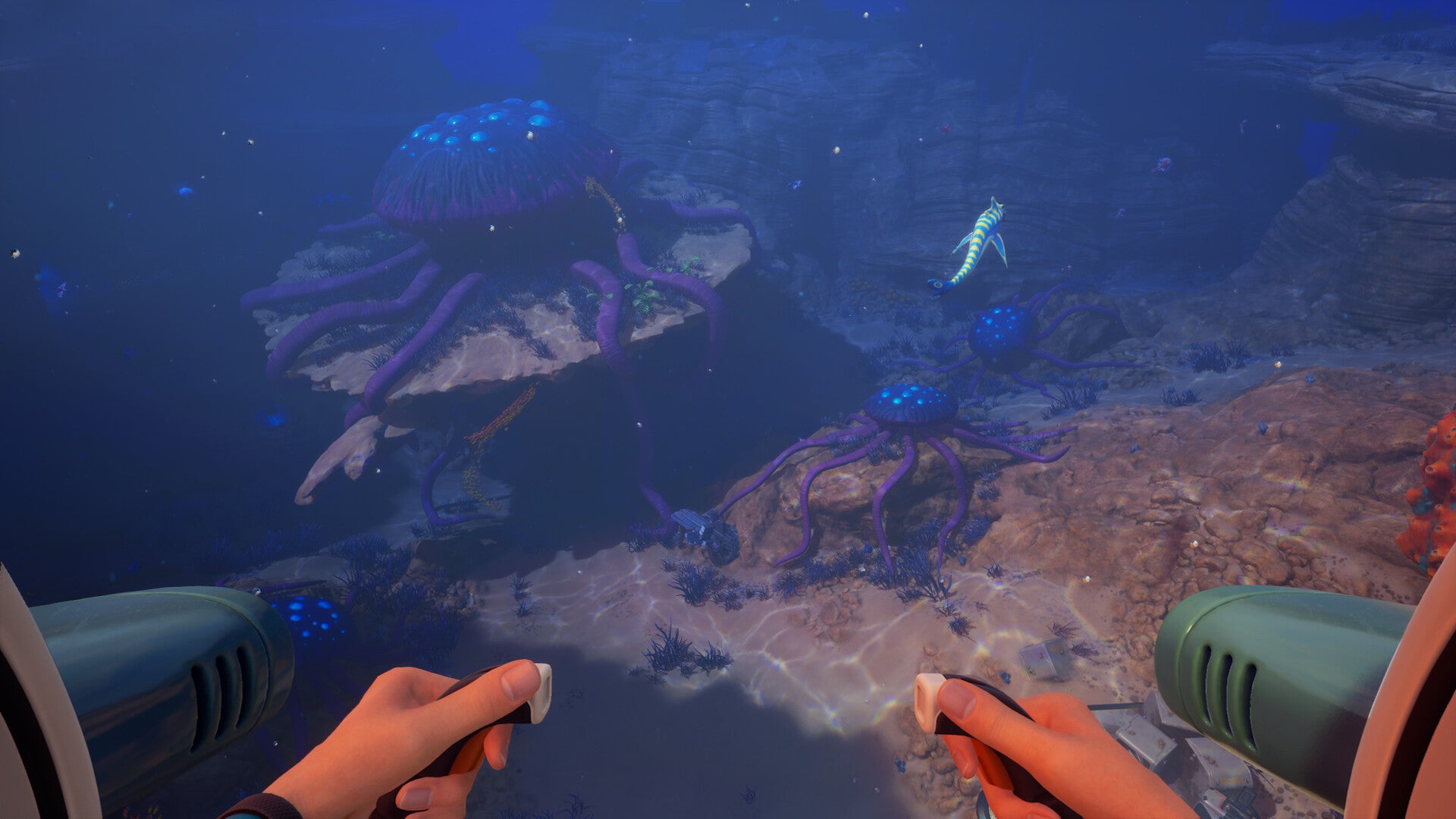 Subnautica 2 Leviathan locations